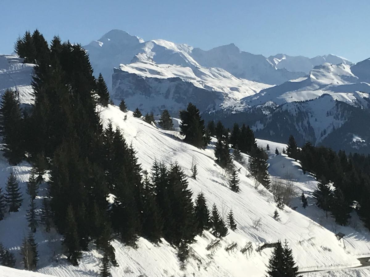 Samoëns Residence Les Chardons Argentes מראה חיצוני תמונה